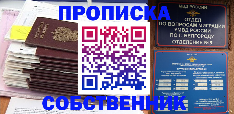 прописка законно в Плавске